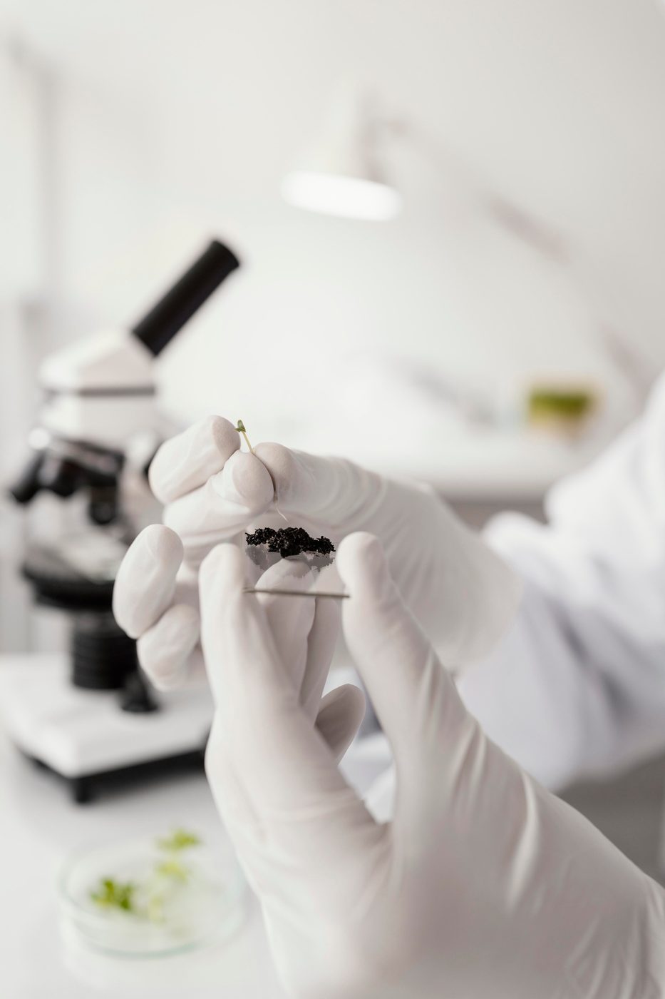 Investigadora trabajando en publicación científica